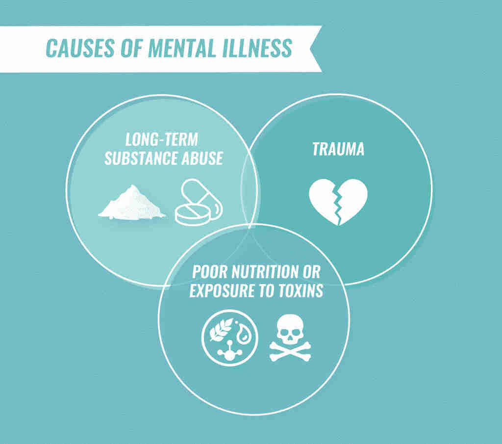 Mental Illness Symptoms Causes Types Treatment Prevention