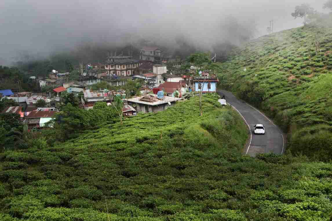 mirik image