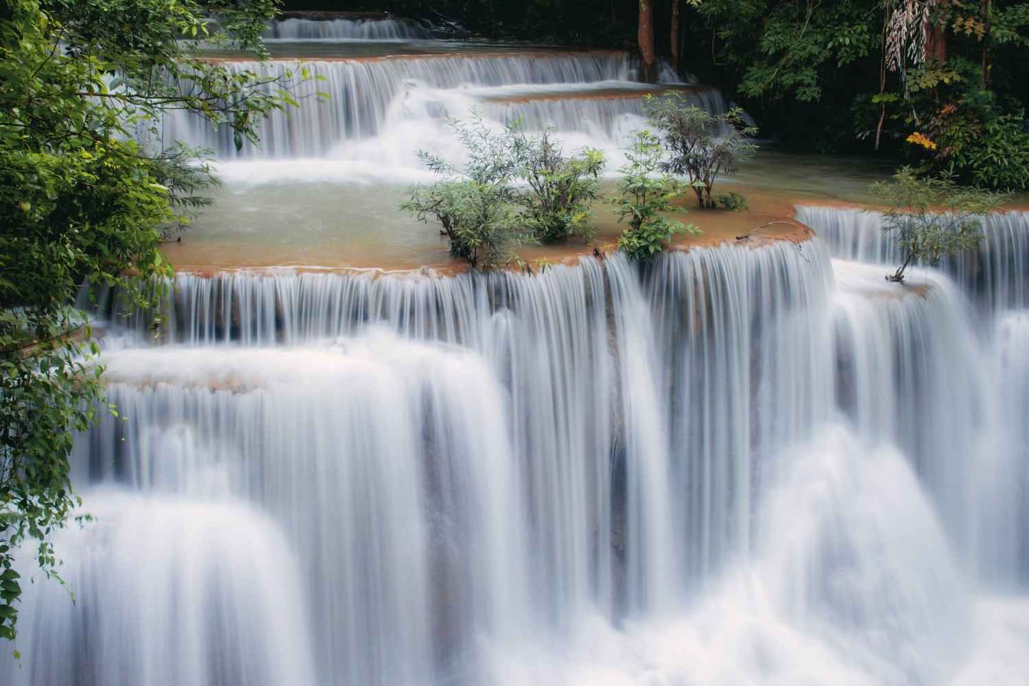 monkey falls coimbatore