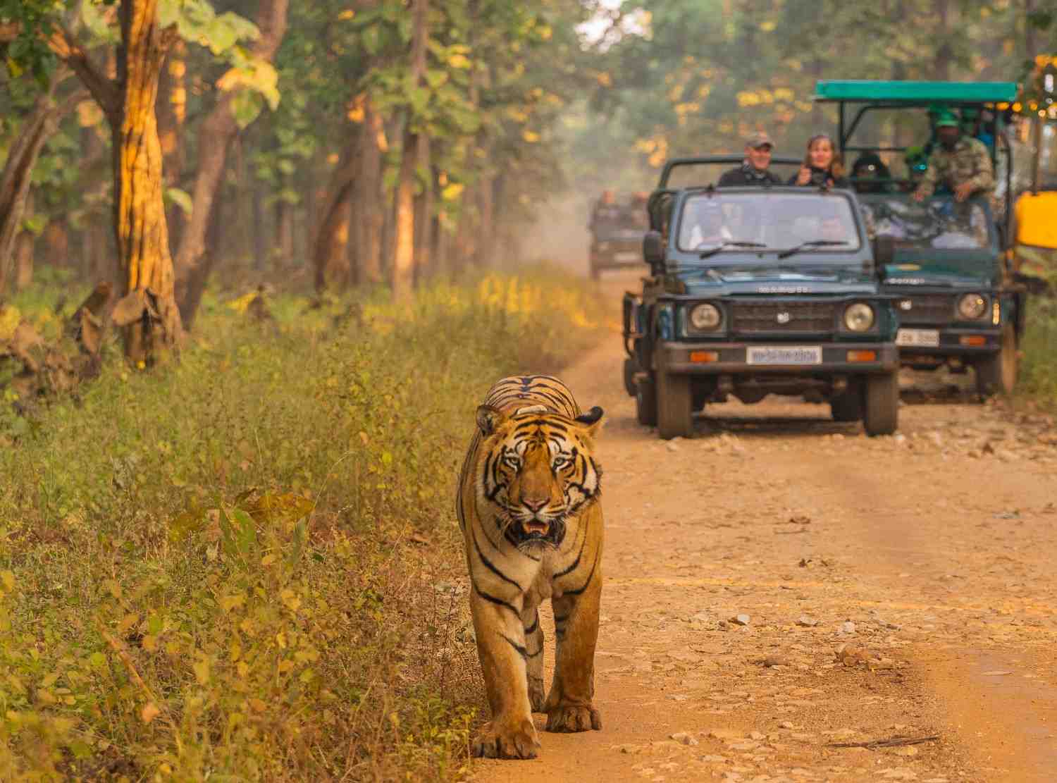 mudumalai tiger reserve