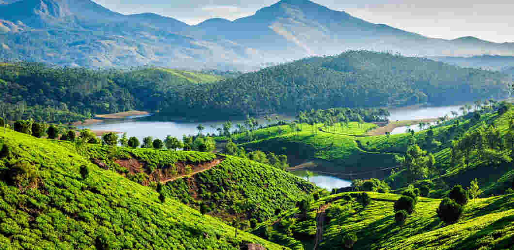 munnar hills chennai