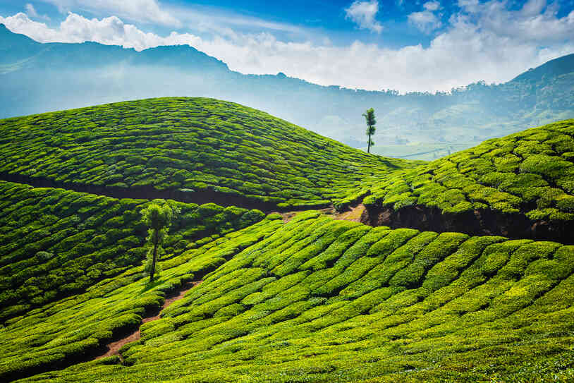 munnar tourist places