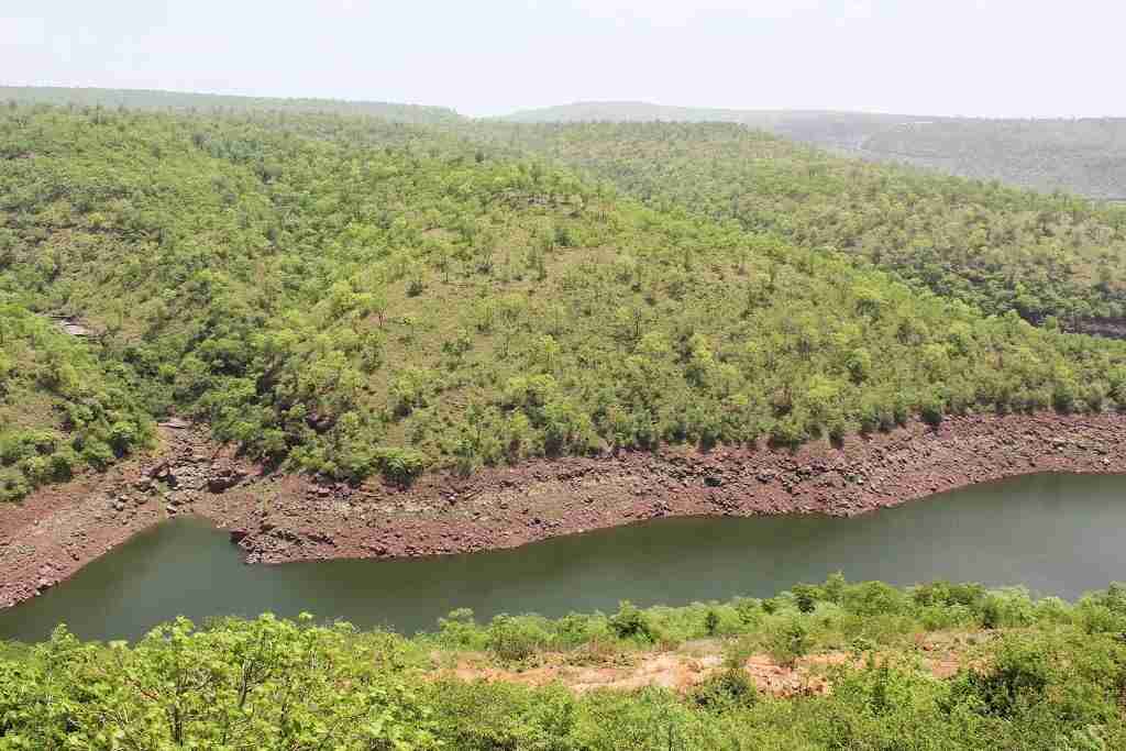 nallamala hills image