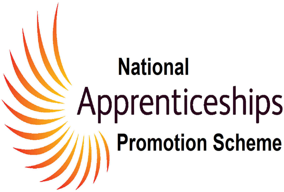 National Apprenticeship Promotion Scheme Eligibility Documents 