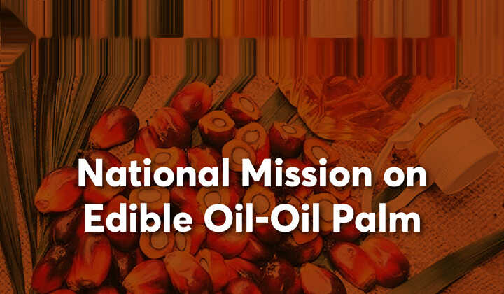 national mission on oilseeds and oil palm