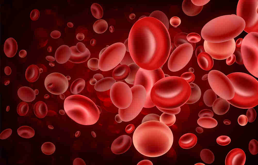 plt-count-blood-test-purpose-how-to-check-platelet-counts