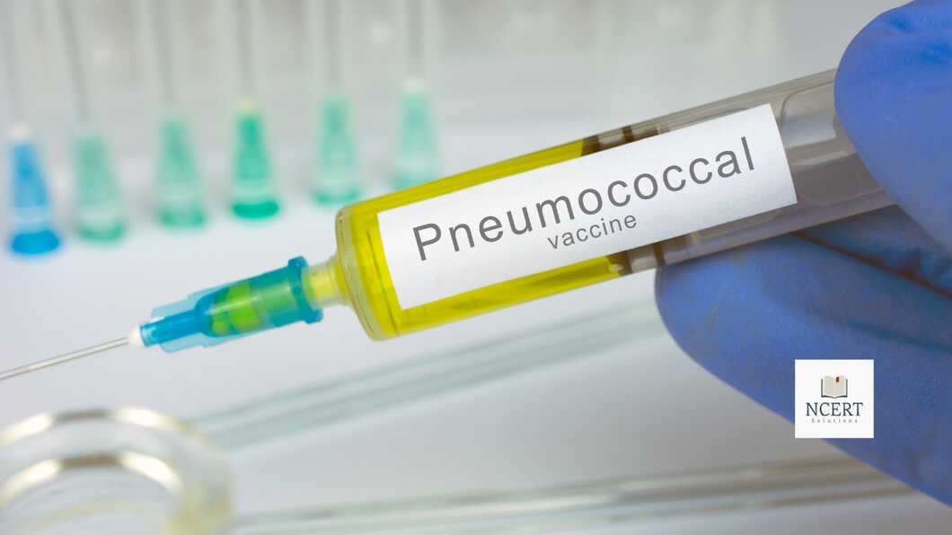 Pneumonia Vaccine Purpose, Dosage & Side Effects