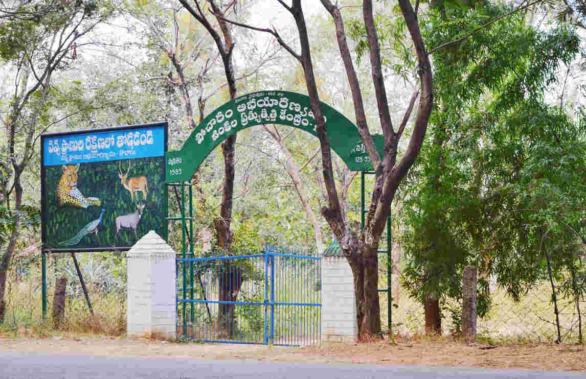 pocharam dam and wildlife sanctuary