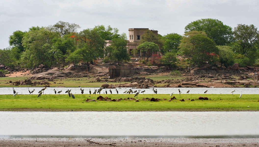 pocharam wildlife sanctuary