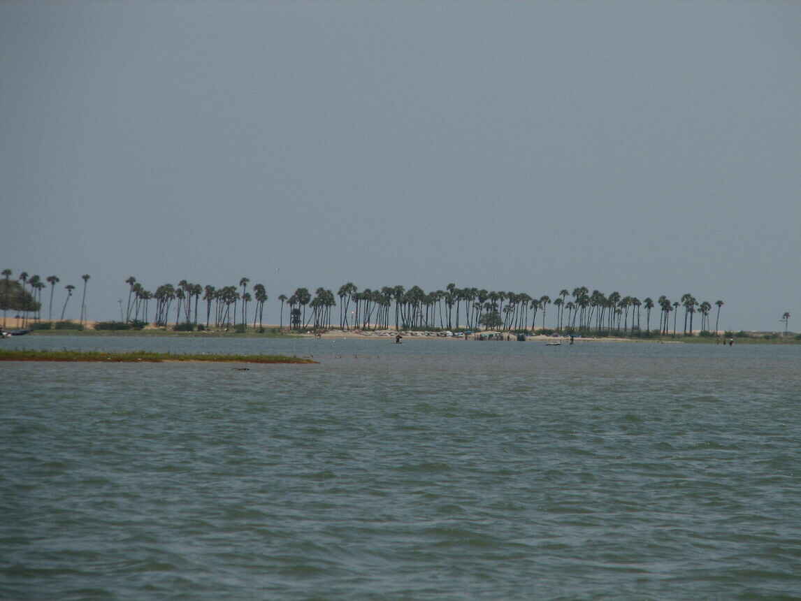 pulicat