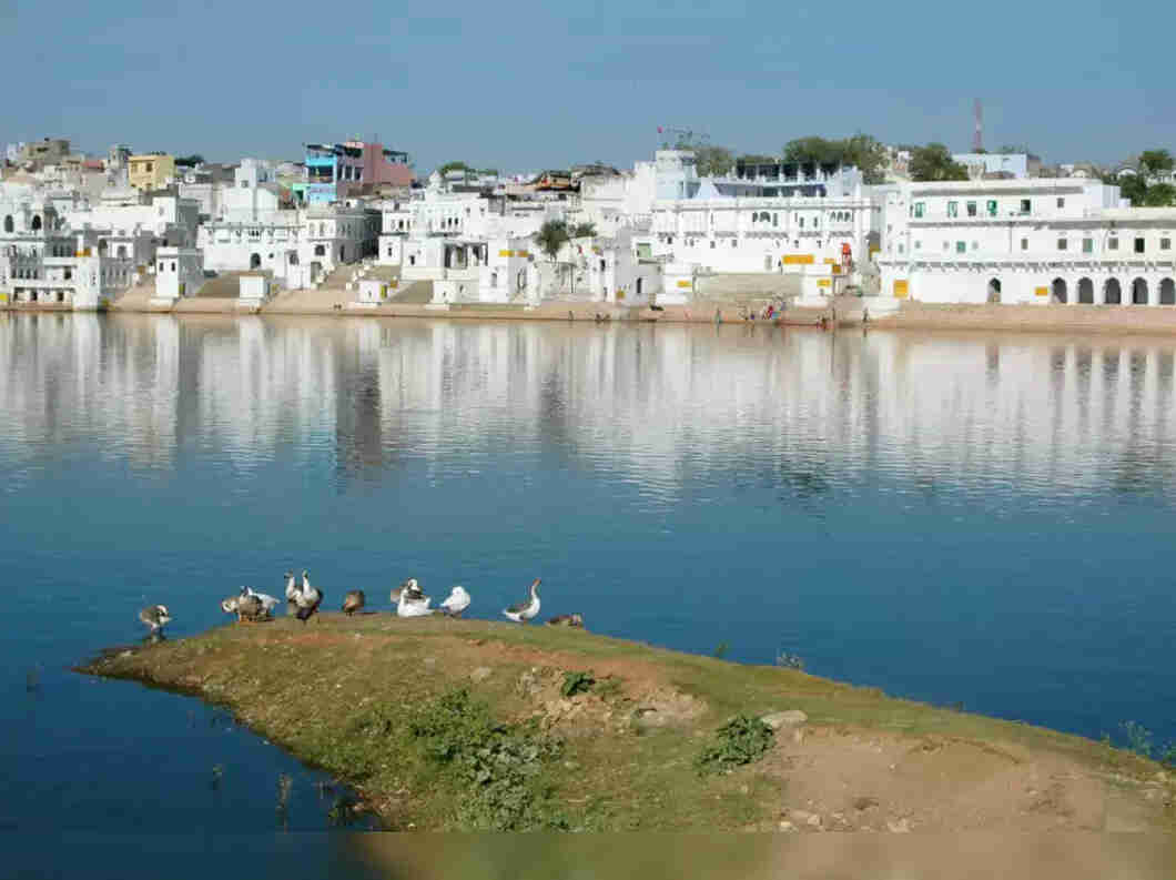 pushkar delhi