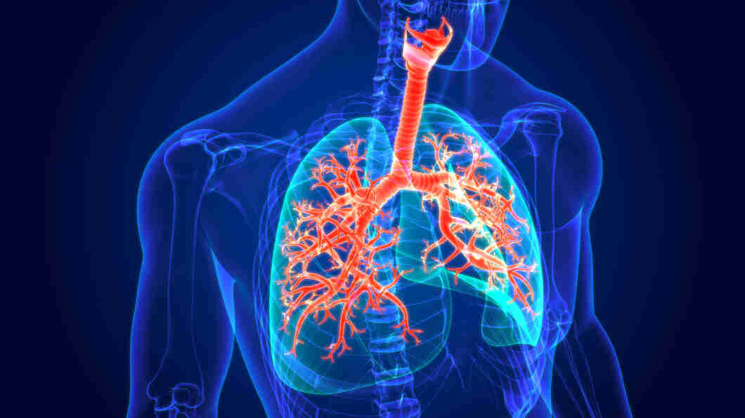 Respiratory Diseases Symptoms Causes Types Treatment Prevention