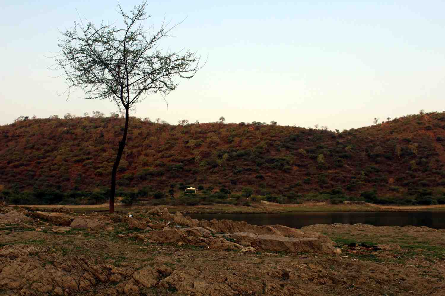 sajjangarh wildlife sanctuary