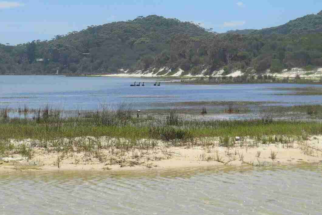 sandbar beach andaman