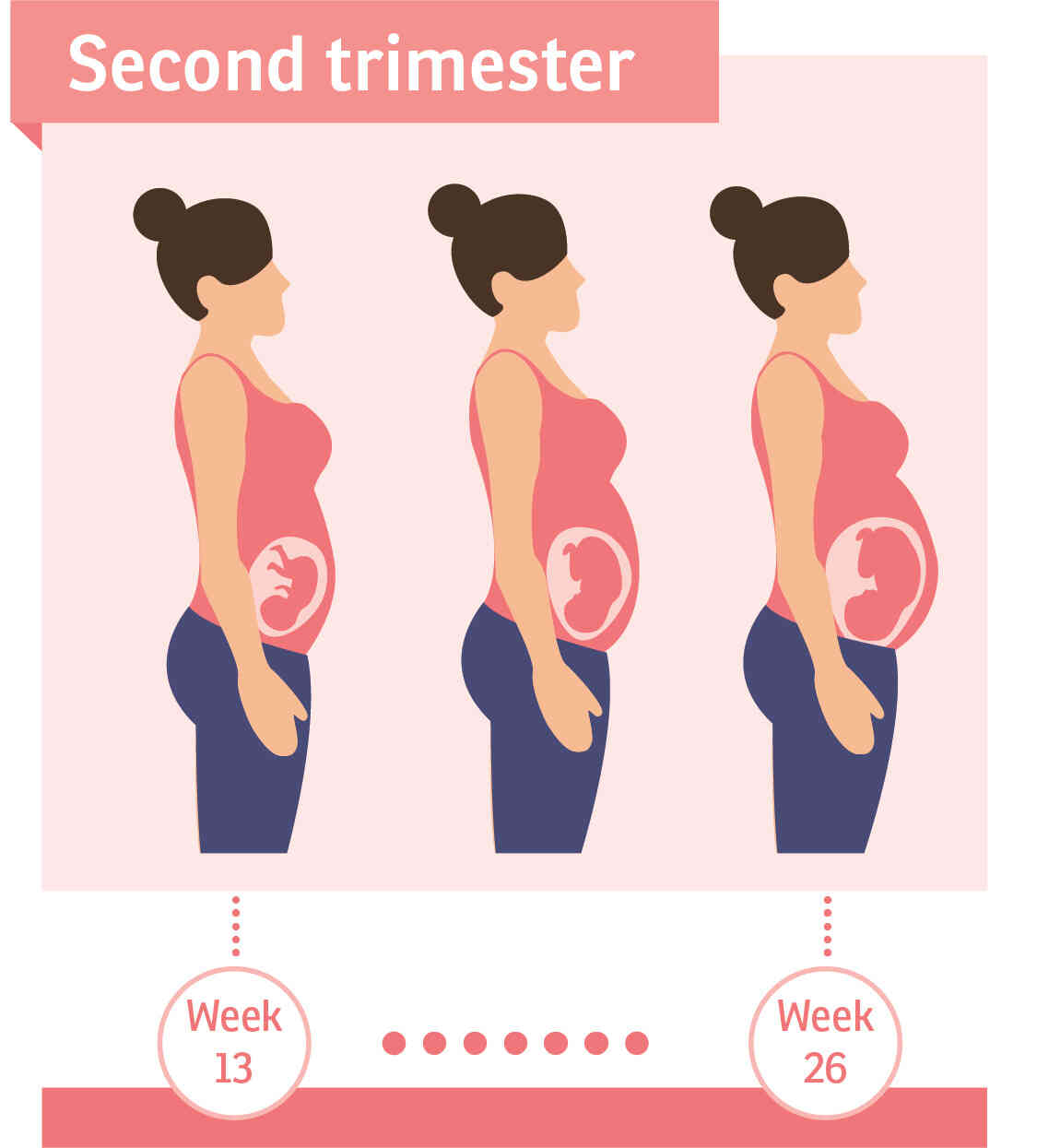 Pregnancy Second Trimester