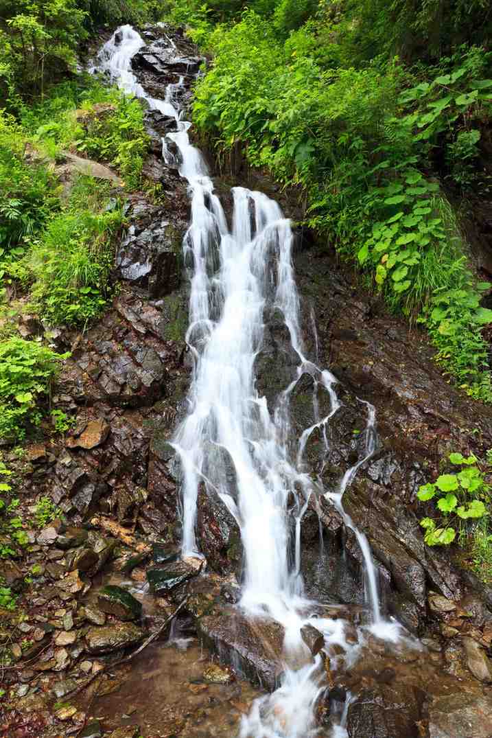 shankara falls chikmagalur