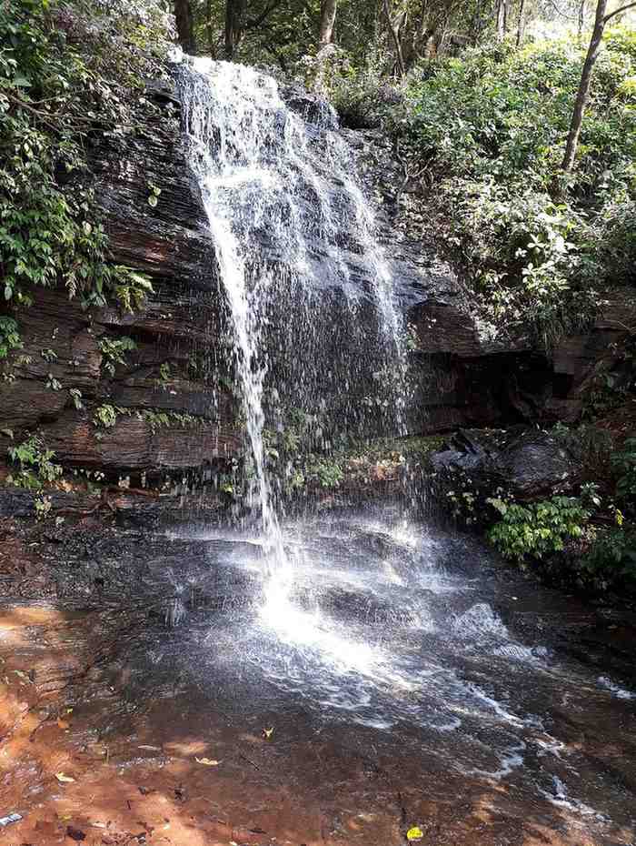 shanti falls chikmagalur