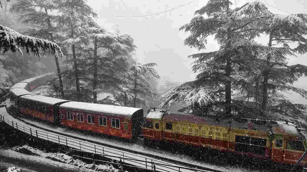 shimla delhi