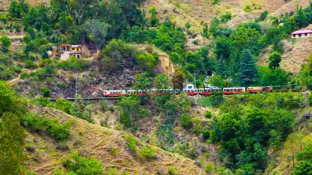 shoghi in jaipur