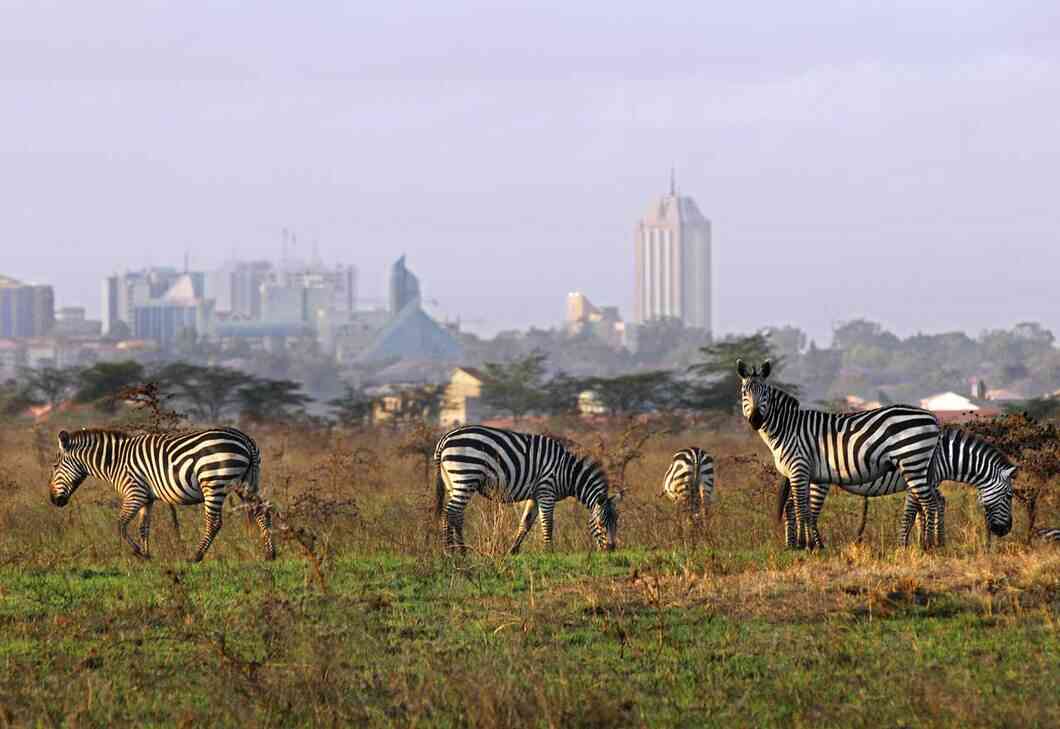 Best Time to Visit Kenya: Seasons To Visit & Tips For Travelling