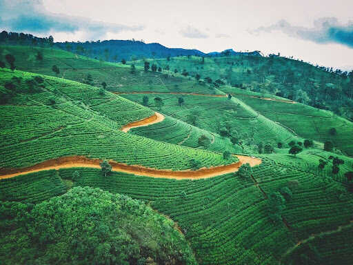 sri lanka