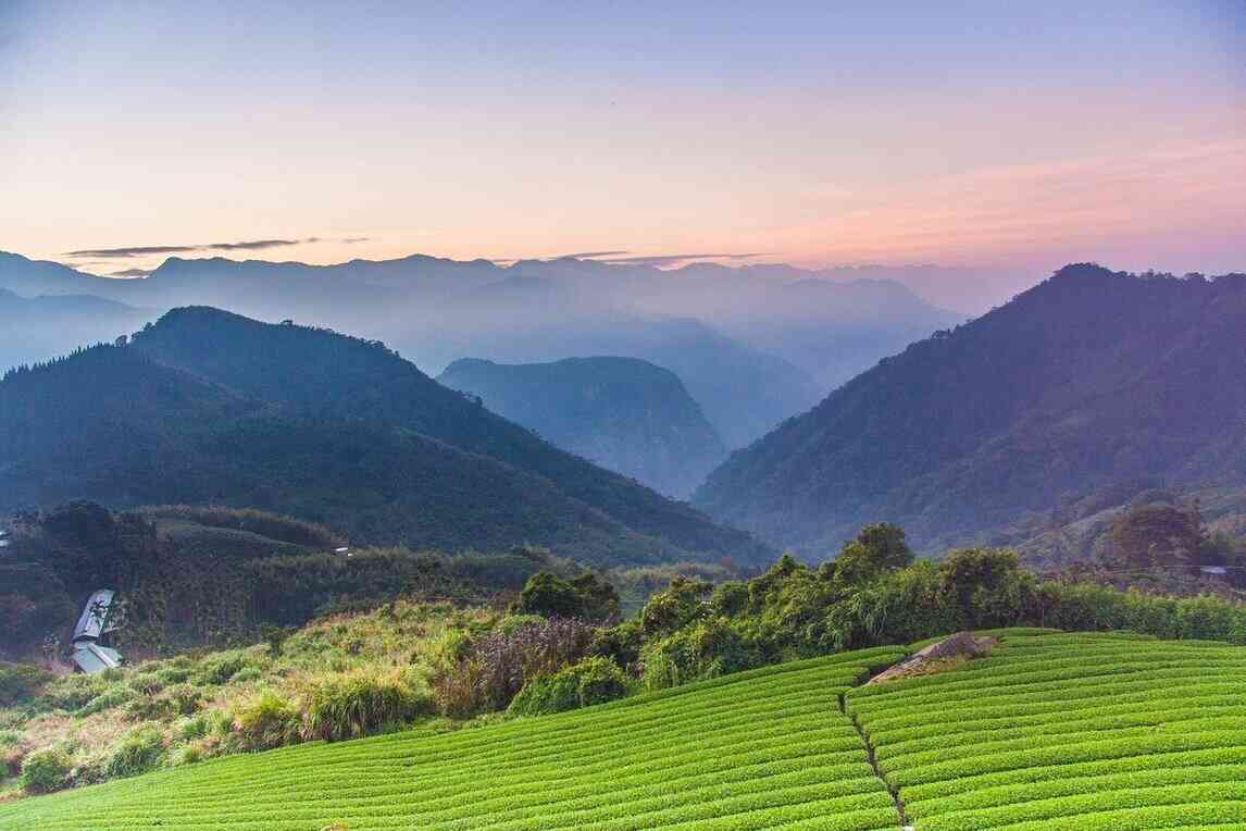 Top 15 Hill Stations in Assam For a Perfect Vacation