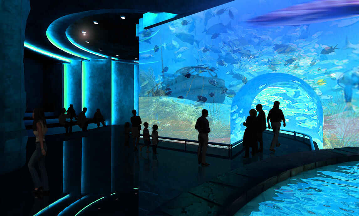 taraporewala aquarium