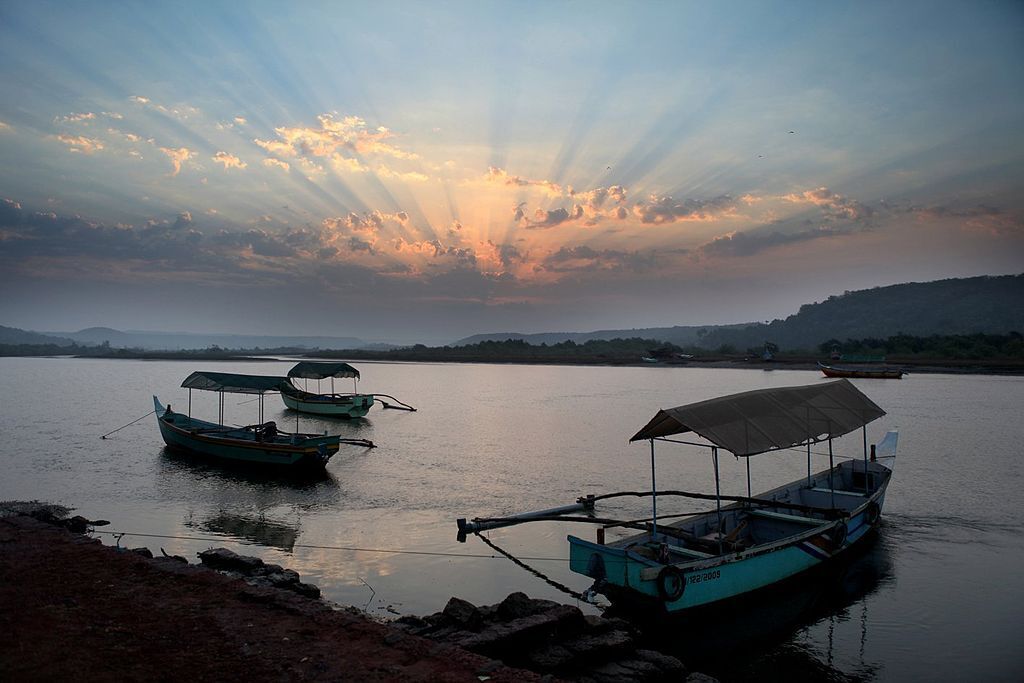 tarkarli november