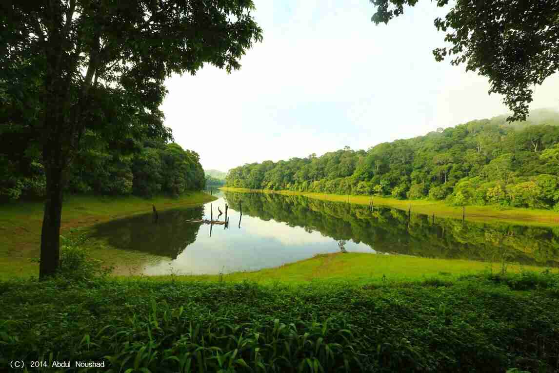 thekkady image