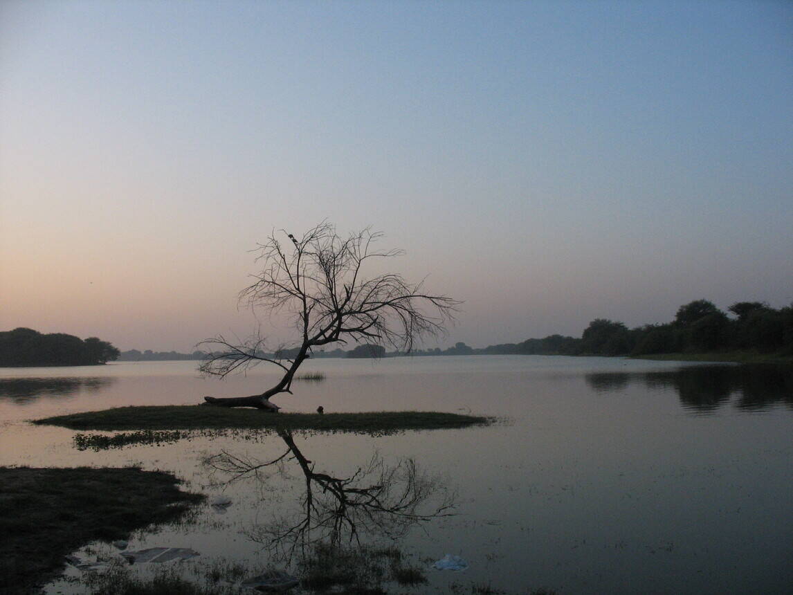 thol lake sanctuary