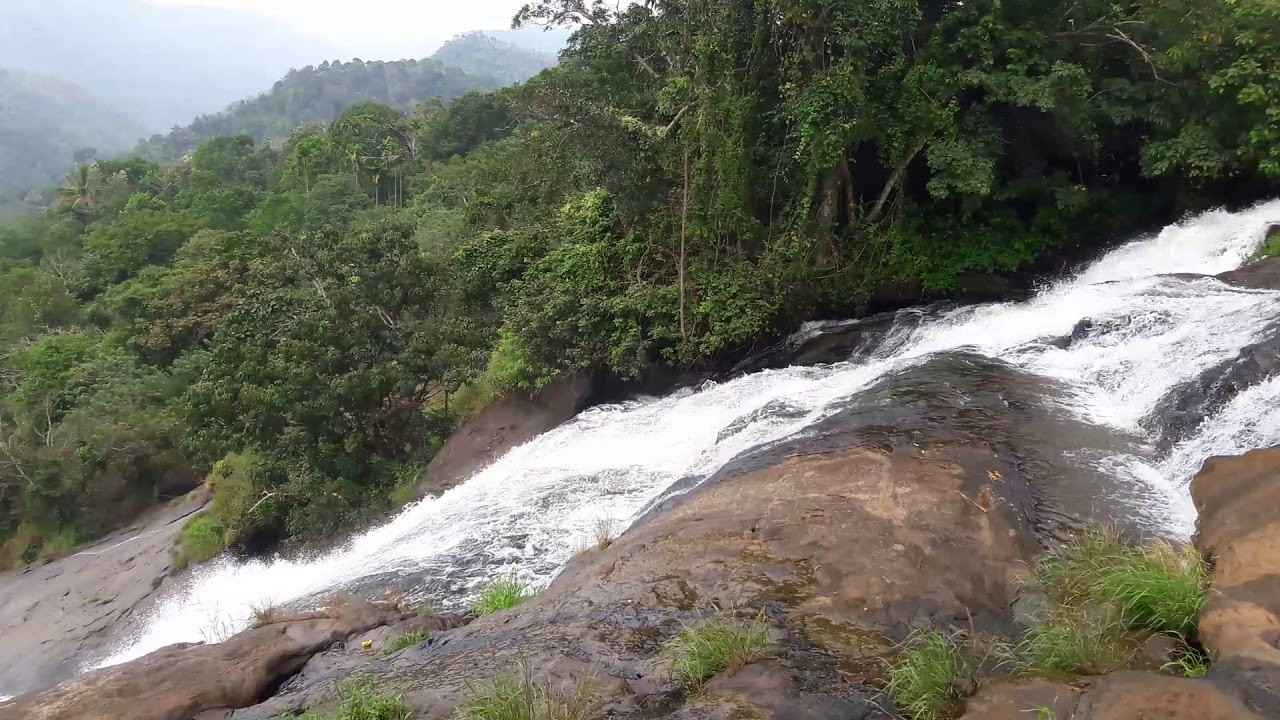 thooval waterfalls nedumkandam