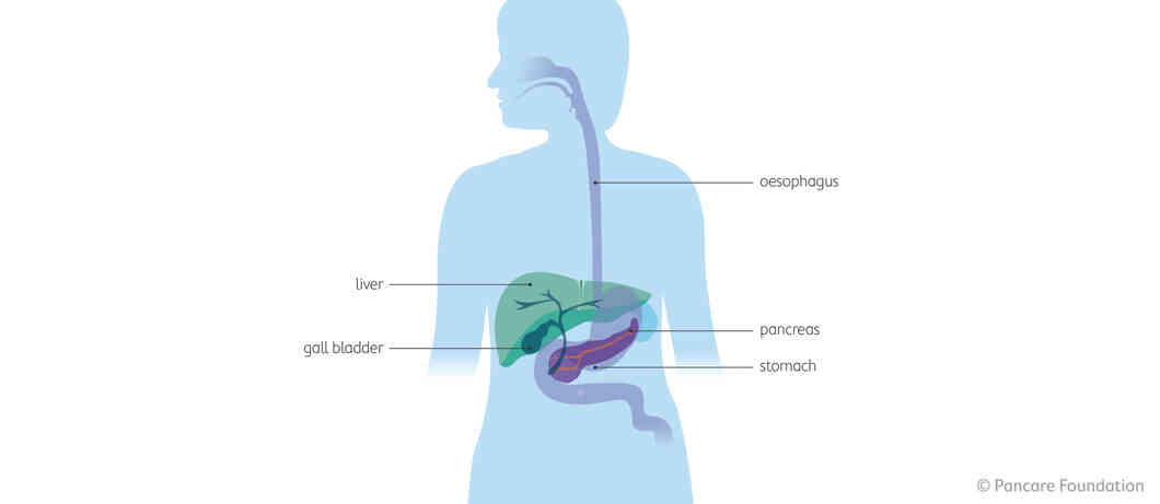 types of oesophageal cancer