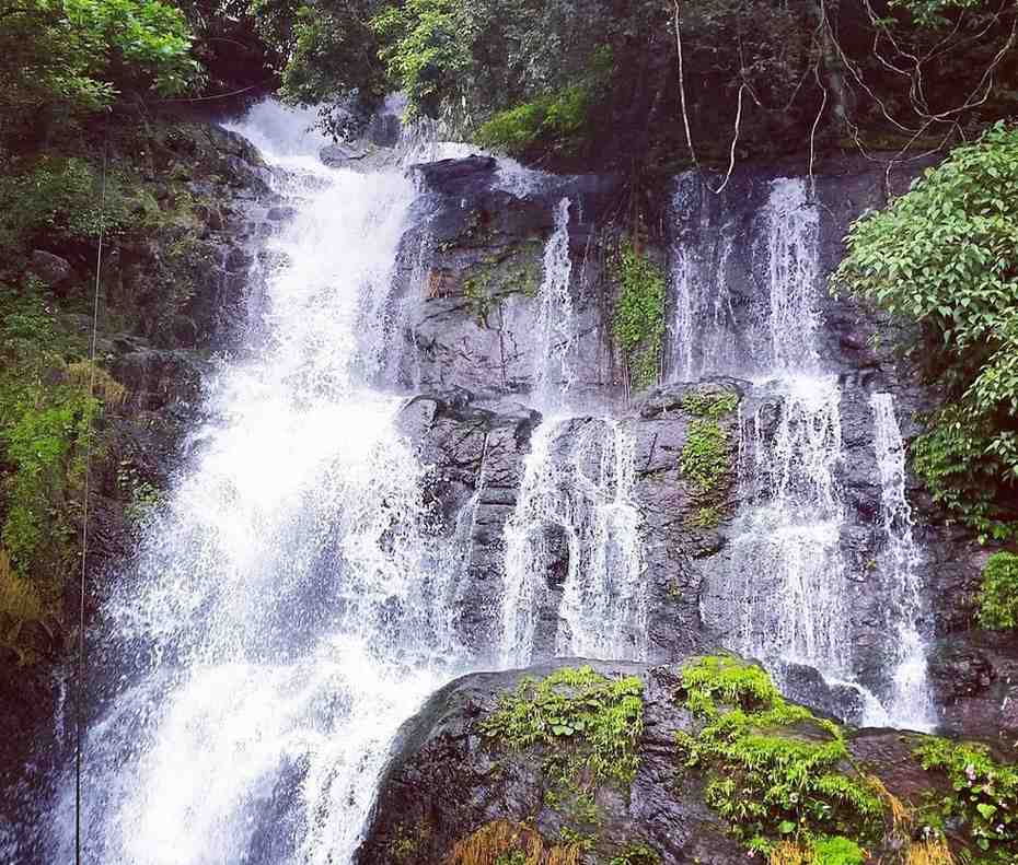 valanjanganam waterfall idukki