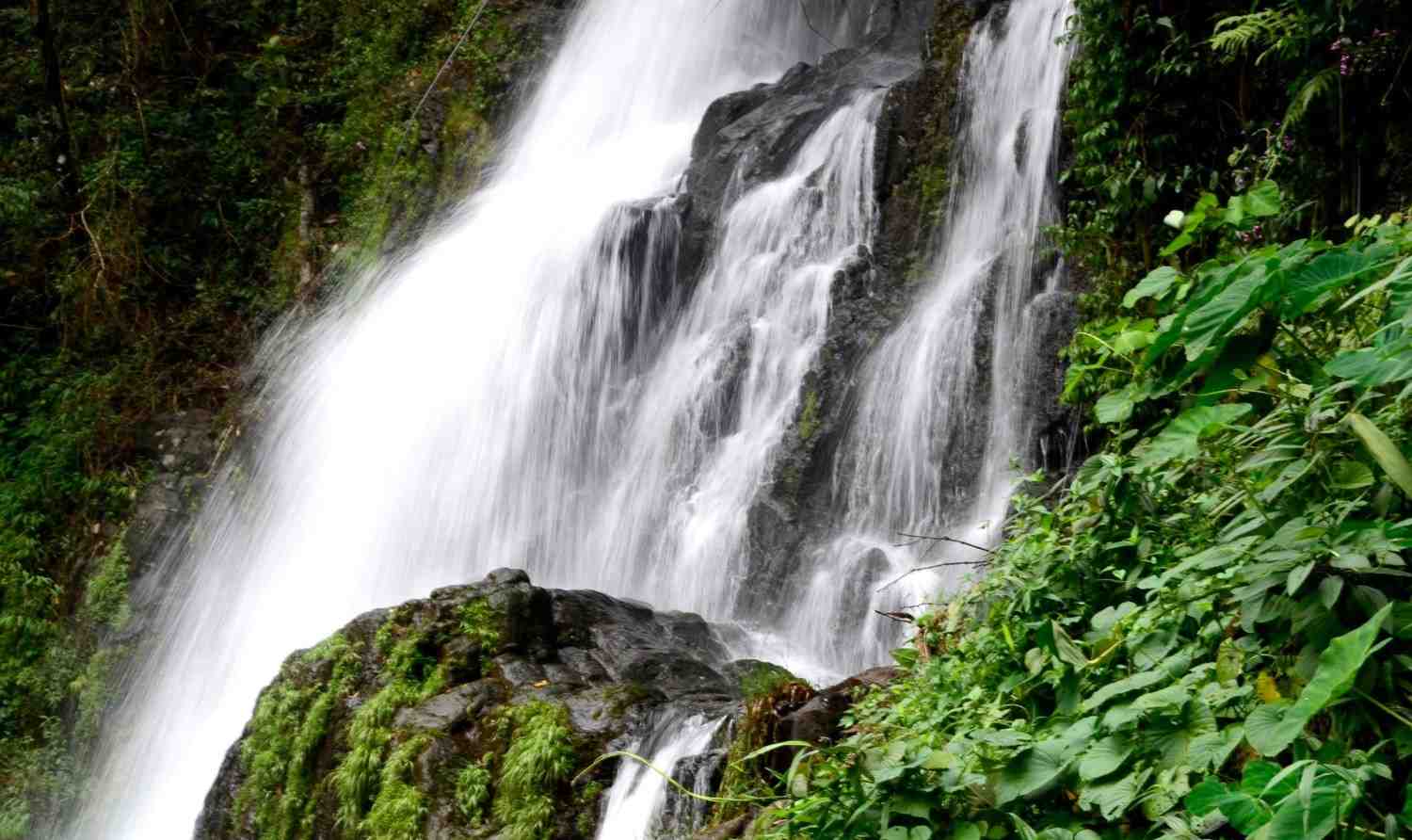 valanjanganam waterfalls peermade