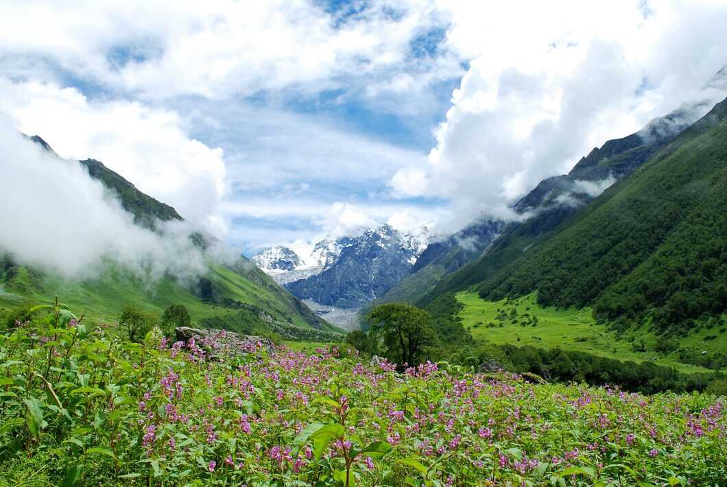 valley of flowers national parks