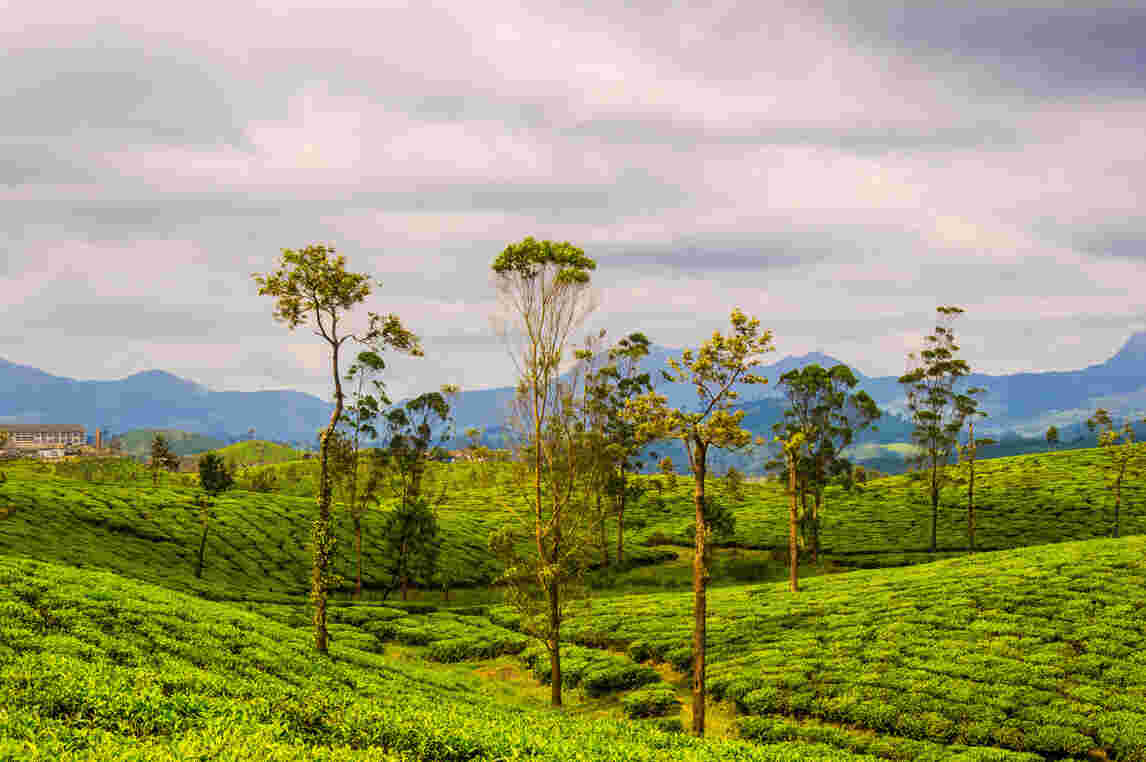 valparai image