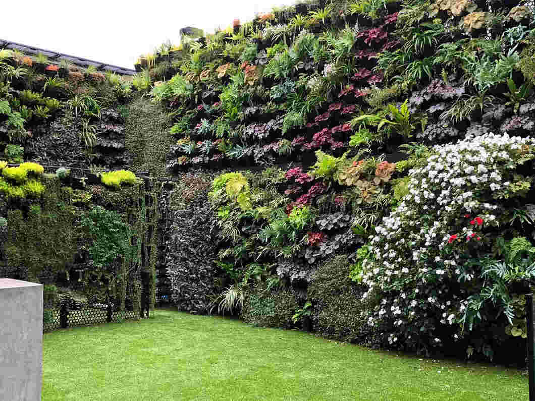 vertical gardening