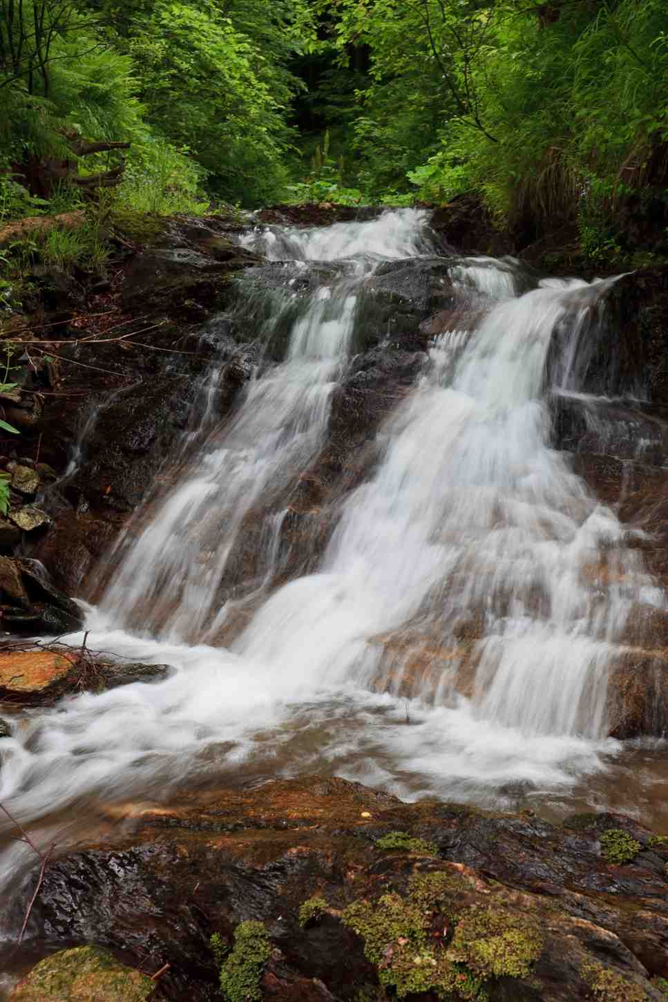 vindhamwyndham falls