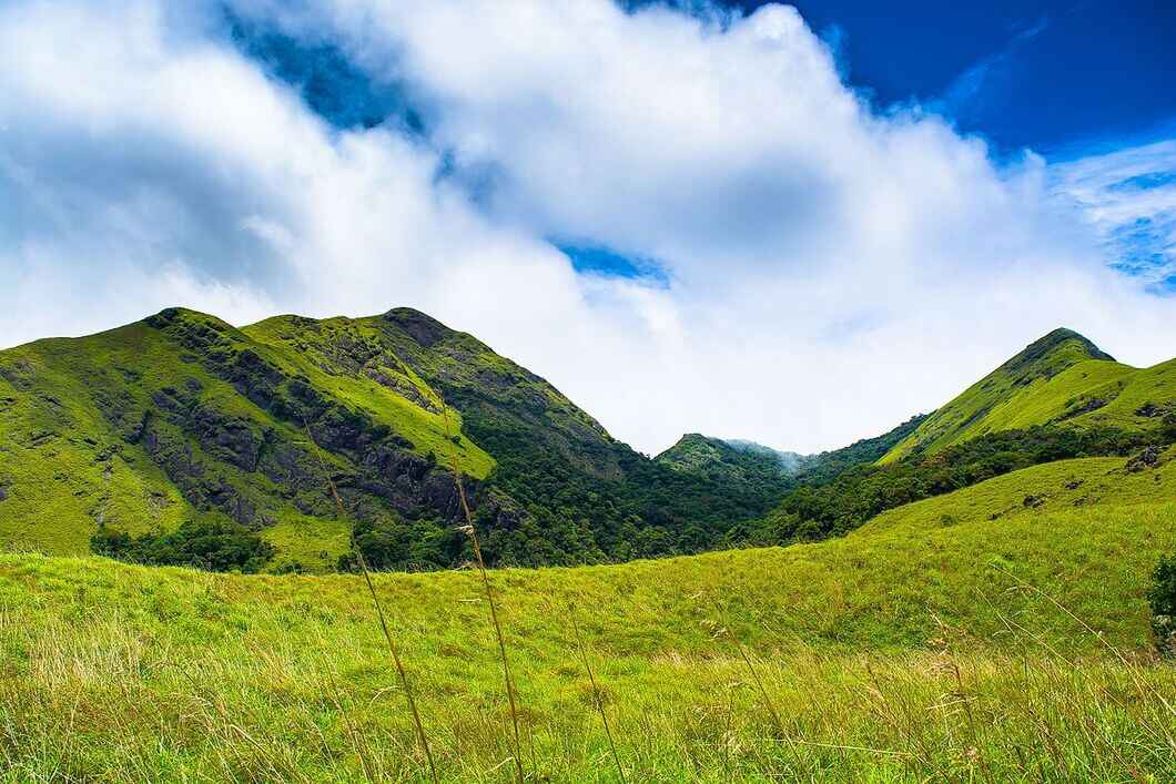 wayanad in monsoon