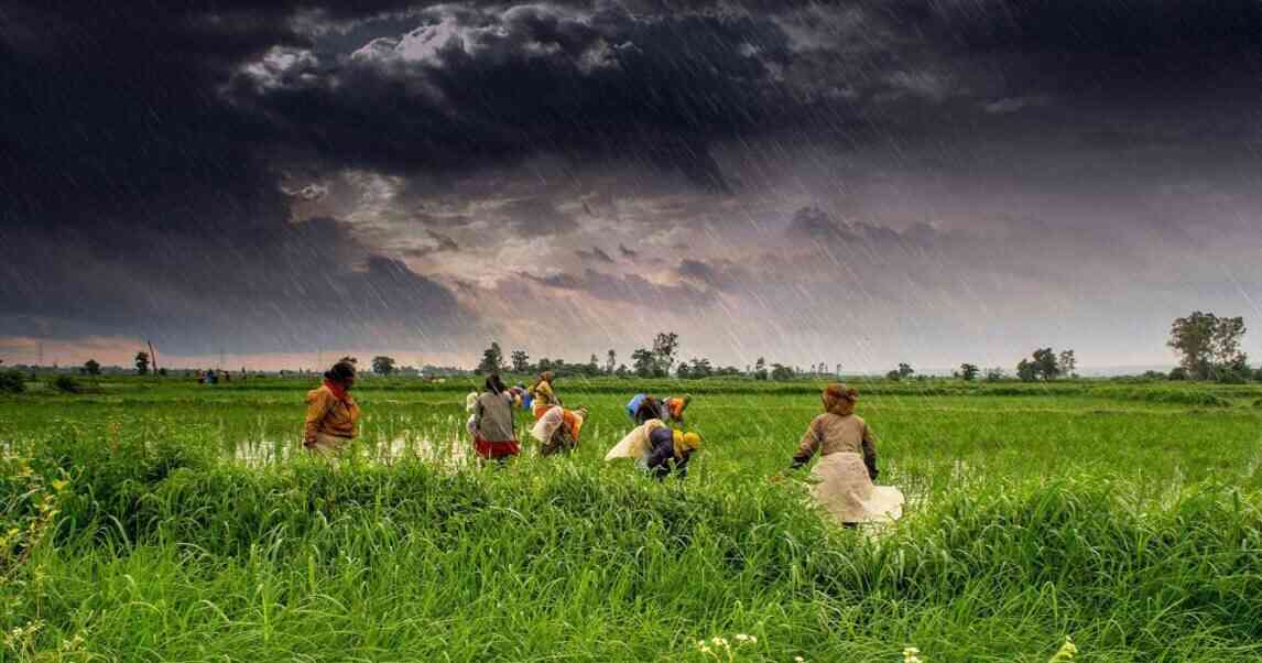 weather based crop insurance scheme