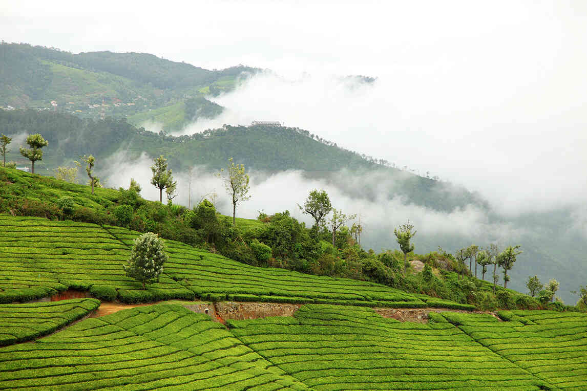 yelagiri place