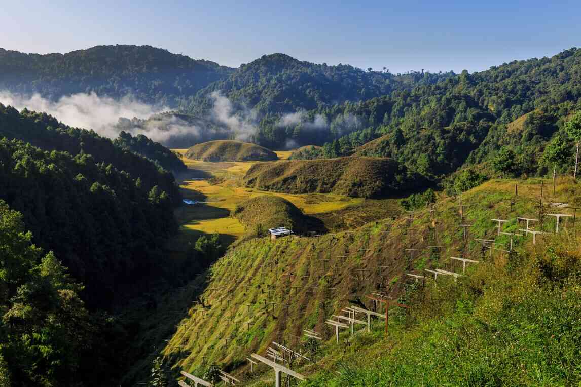 ziro november