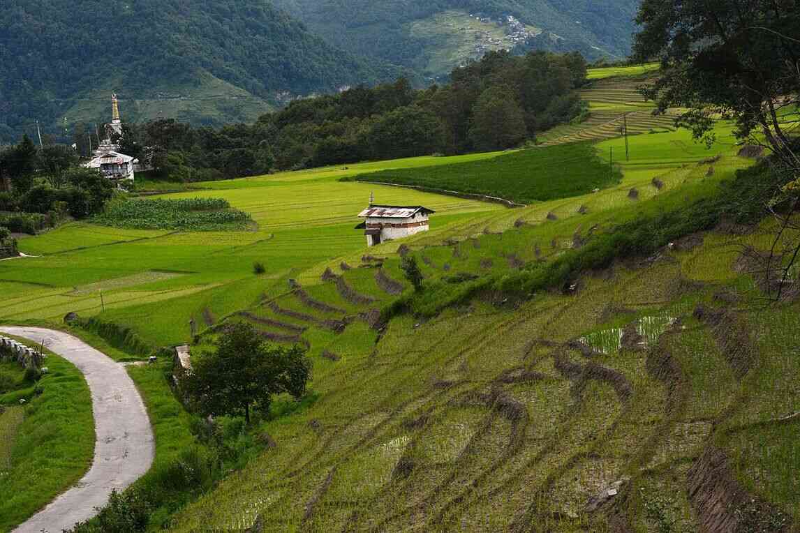 ziro october 