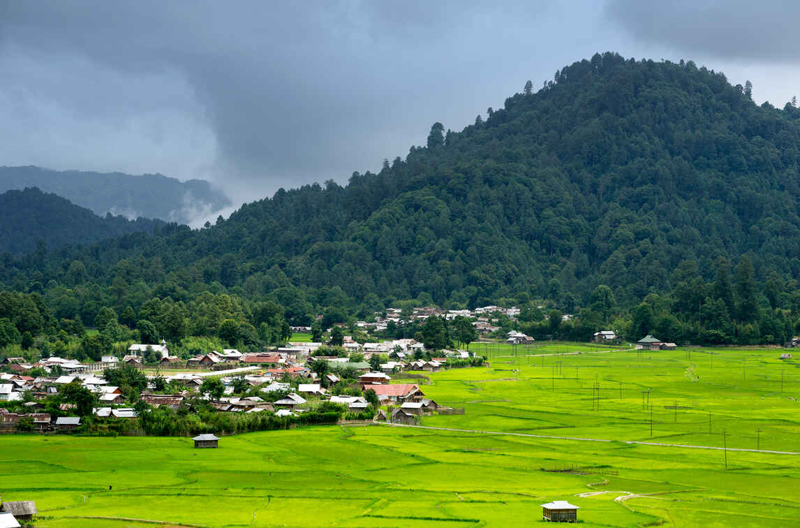 ziro september