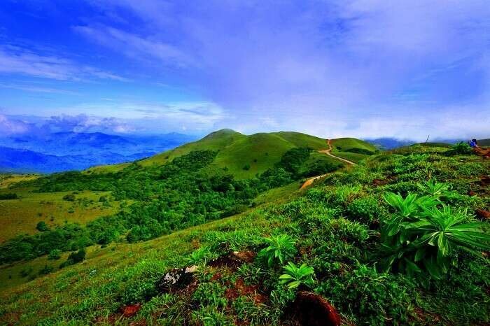 coorg in monsoon