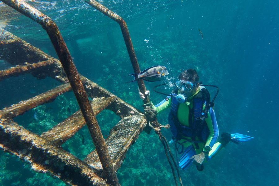 scuba diver holding an shrinken stair underwater