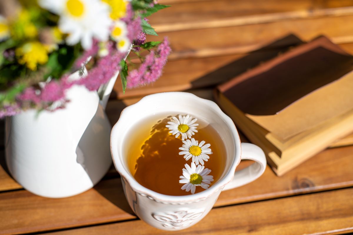 cup of chamomile on the wooden table