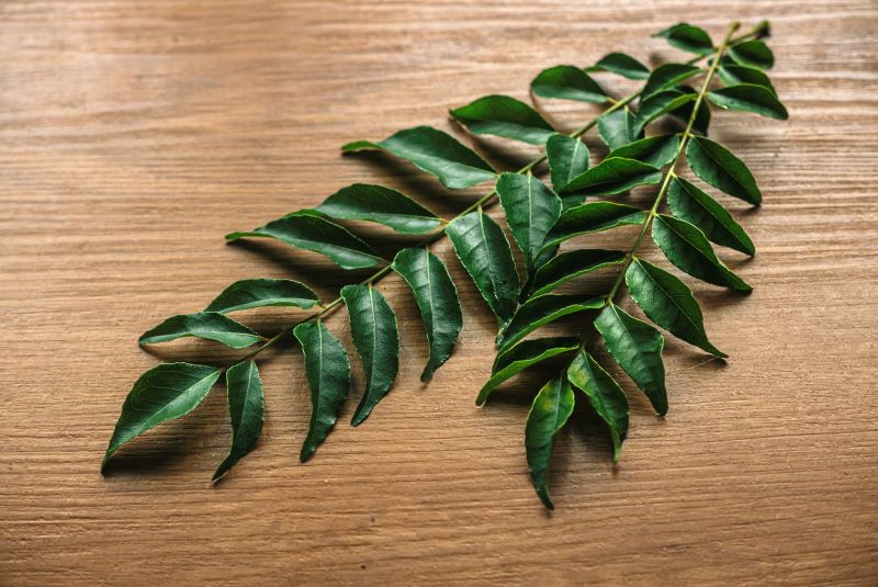 curry-leaves