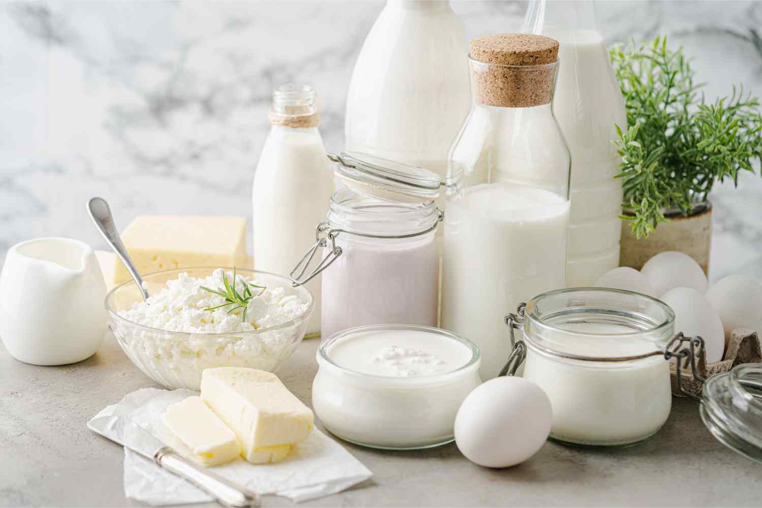 Dairy and Egg Products Rich in Vitamin B6