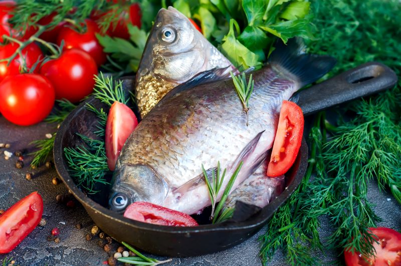 Benefits of Fish to Include in Your Daily Diet